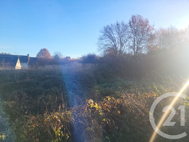 terrain - DOMERAT - 03