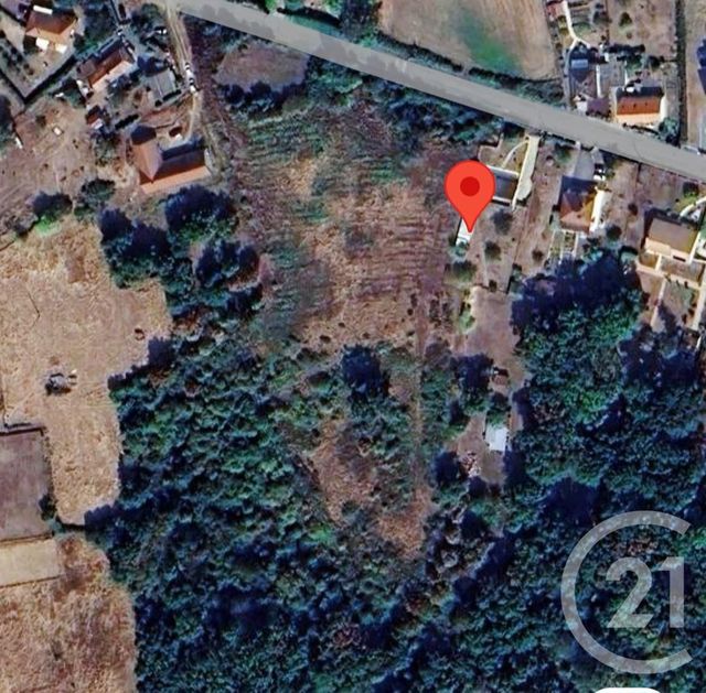 terrain - HURIEL - 03