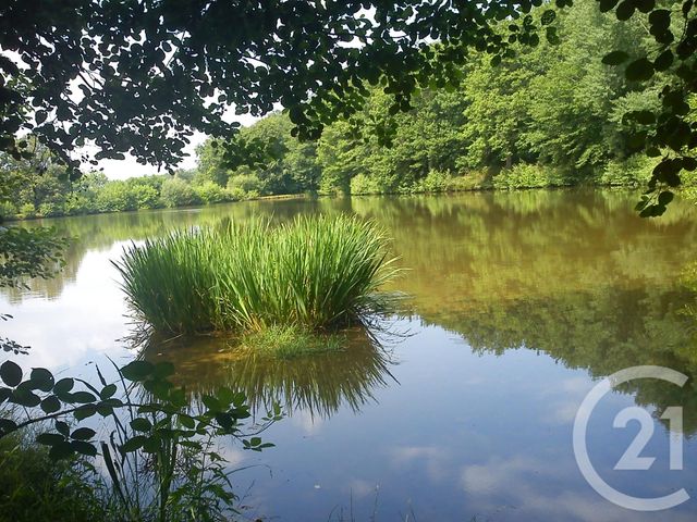 Terrain &agrave; vendre - 13145 m2 - Villebret - 03 - AUVERGNE