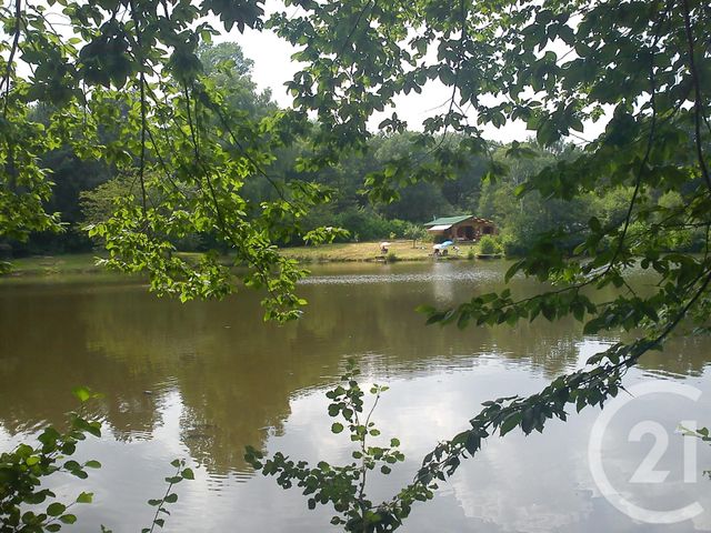 Terrain &agrave; vendre - 13145 m2 - Villebret - 03 - AUVERGNE