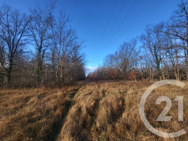Terrain &agrave; vendre - 325020 m2 - Vaux - 03 - AUVERGNE