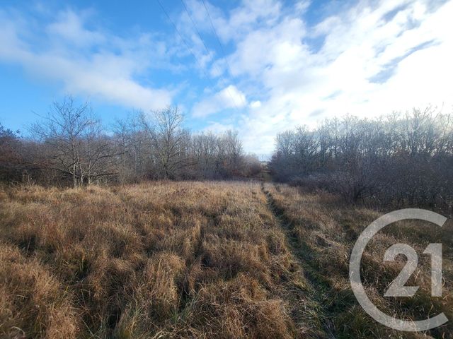 Terrain &agrave; vendre - 325020 m2 - Vaux - 03 - AUVERGNE