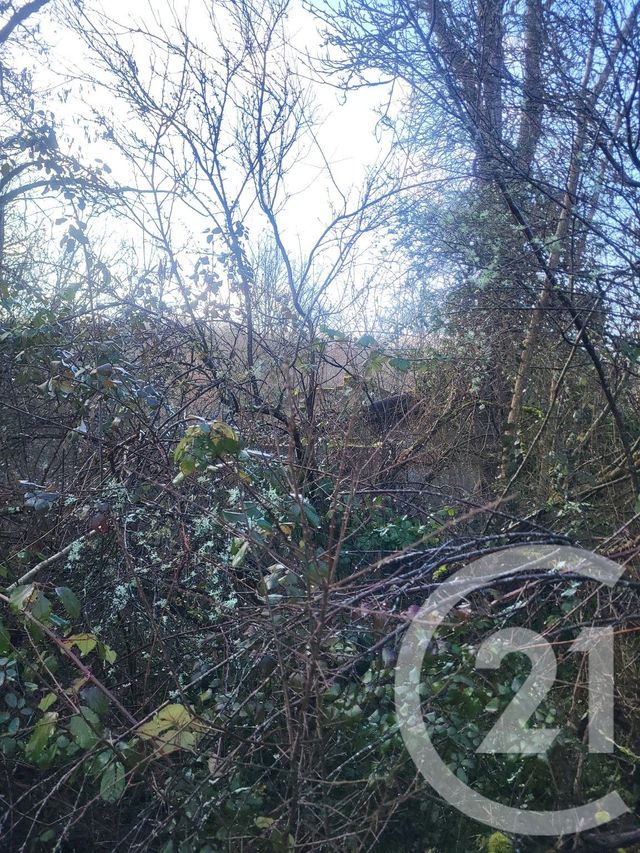 Terrain &agrave; vendre - 325020 m2 - Vaux - 03 - AUVERGNE