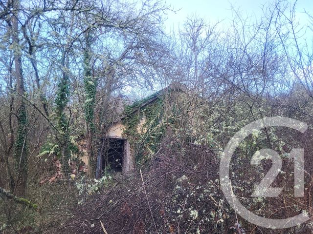 Terrain &agrave; vendre - 325020 m2 - Vaux - 03 - AUVERGNE