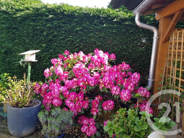 Maison &agrave; vendre - 7 pi&egrave;ces - 147 m2 - Verneix - 03 - AUVERGNE