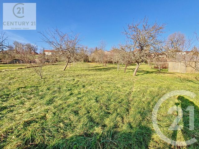 Maison &agrave; vendre - 5 pi&egrave;ces - 120 m2 - Bassigney - 70 - FRANCHE-COMTE