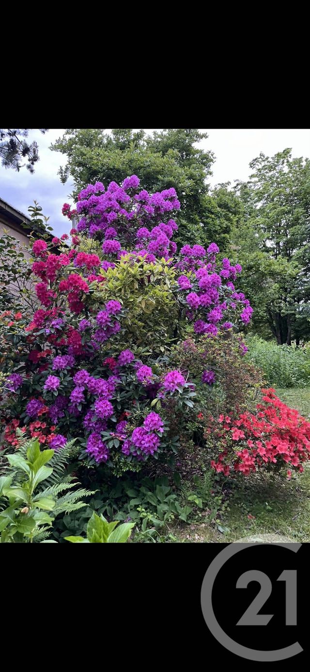 Maison &agrave; vendre - 7 pi&egrave;ces - 163,70 m2 - Port Sur Saone - 70 - FRANCHE-COMTE