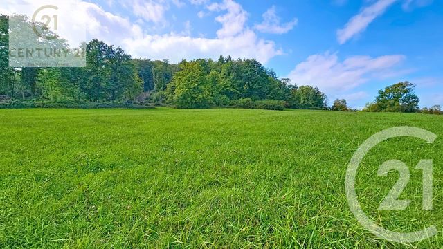 terrain - COMBEAUFONTAINE - 70