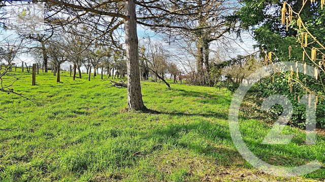 Maison &agrave; vendre - 4 pi&egrave;ces - 100,79 m2 - Cintrey - 70 - FRANCHE-COMTE