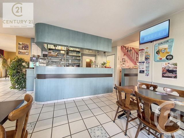 Maison &agrave; vendre - 13 pi&egrave;ces - 355 m2 - Port Sur Saone - 70 - FRANCHE-COMTE