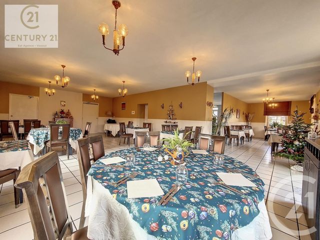 Maison &agrave; vendre - 13 pi&egrave;ces - 355 m2 - Port Sur Saone - 70 - FRANCHE-COMTE