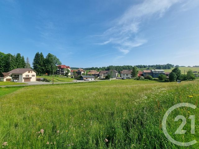 terrain - LAJOUX - 39