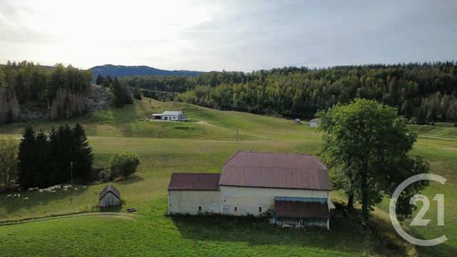 Maison &agrave; vendre - 7 pi&egrave;ces - 300 m2 - Lajoux - 39 - FRANCHE-COMTE
