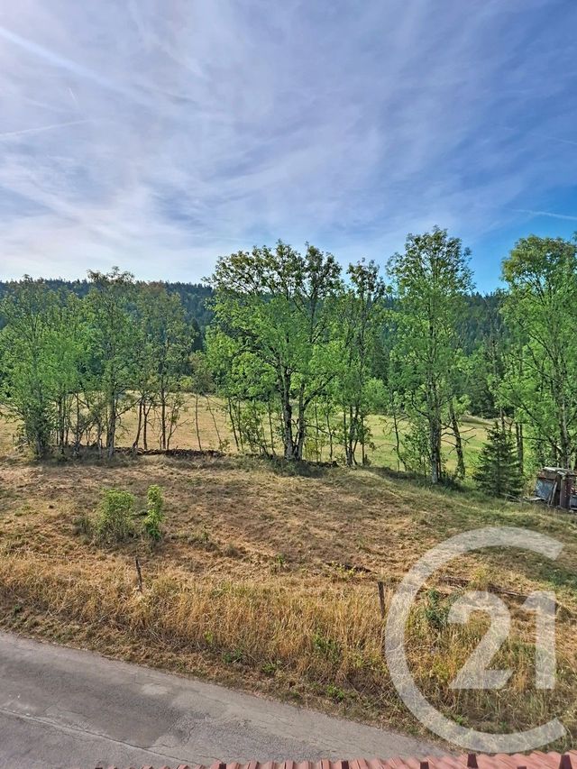 Appartement T2 &agrave; louer - 2 pi&egrave;ces - 34,74 m2 - Morbier - 39 - FRANCHE-COMTE