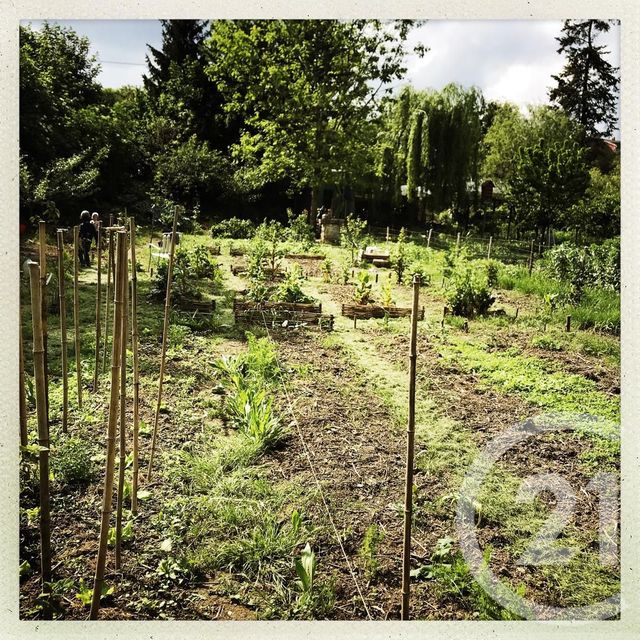 Terrain &agrave; vendre - 997 m2 - Chatellerault - 86 - POITOU-CHARENTES