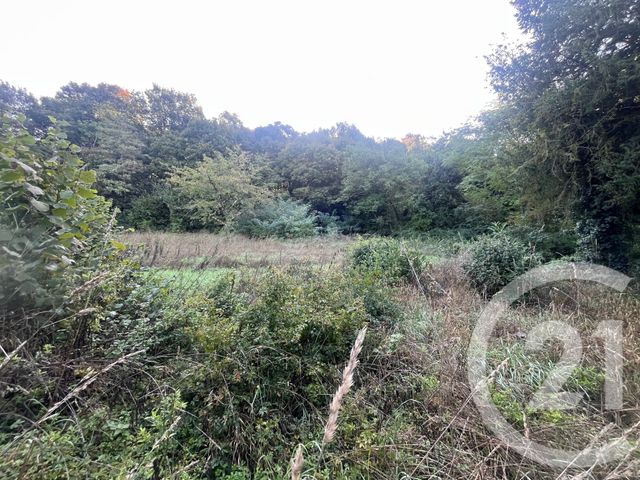 Maison à vendre - 5 pièces - 90 m2 - Chatellerault - 86 - POITOU-CHARENTES