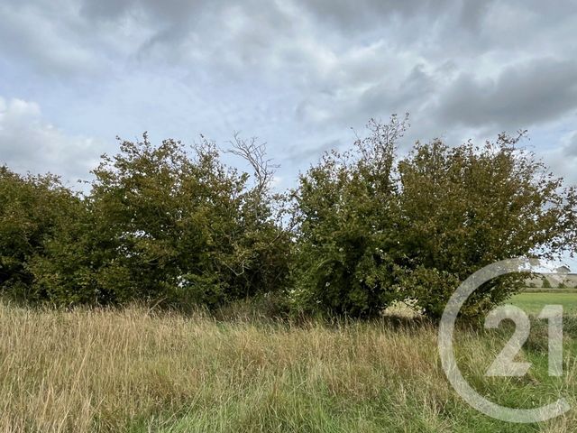 Terrain &agrave; vendre - 710 m2 - Chatellerault - 86 - POITOU-CHARENTES