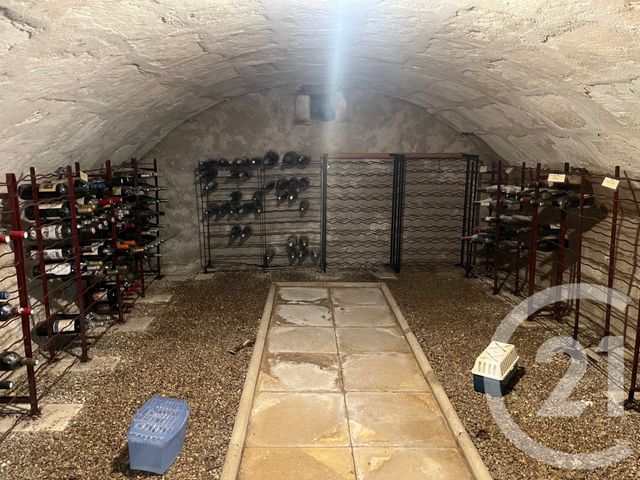 Maison &agrave; vendre - 8 pi&egrave;ces - 250 m2 - Senille St Sauveur - 86 - POITOU-CHARENTES