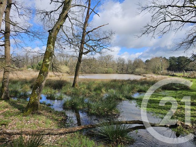 Maison &agrave; vendre - 13 pi&egrave;ces - 293 m2 - Leugny - 86 - POITOU-CHARENTES