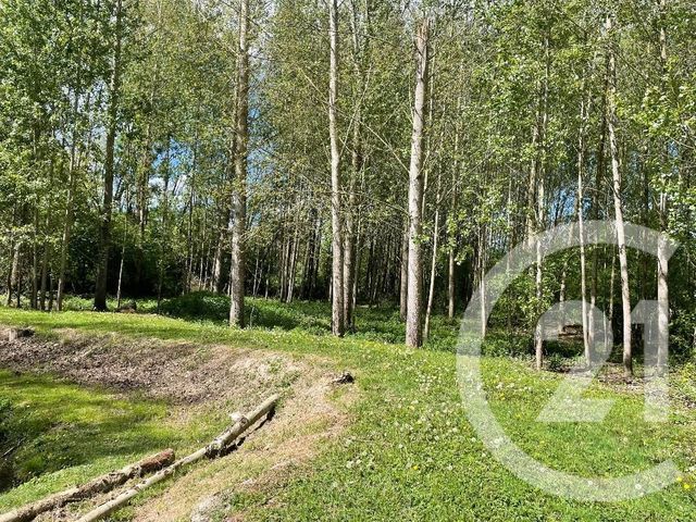 Terrain &agrave; vendre - 5390 m2 - Dissay - 86 - POITOU-CHARENTES