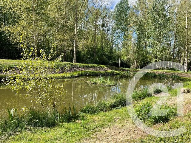 Terrain &agrave; vendre - 5390 m2 - Dissay - 86 - POITOU-CHARENTES