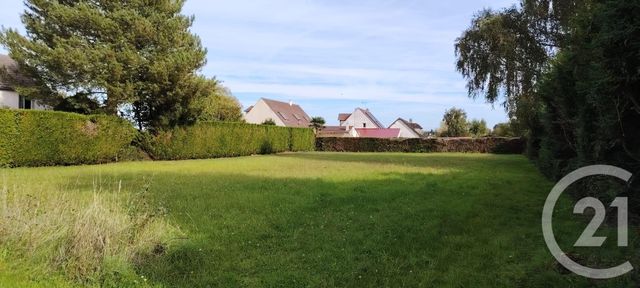 terrain - PITHIVIERS - 45