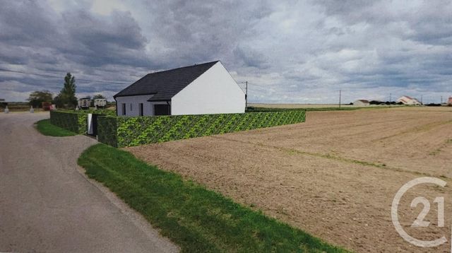 maison - PITHIVIERS - 45