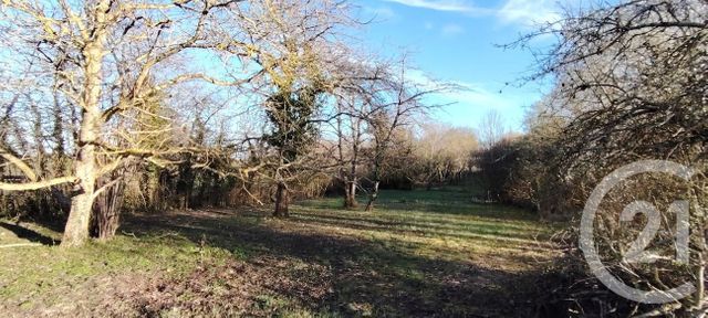 terrain - PUISEAUX - 45