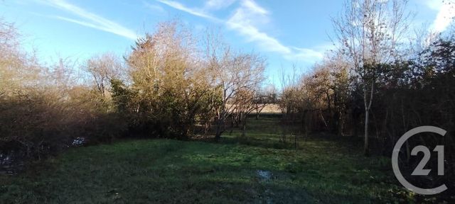 Terrain &agrave; vendre - 455 m2 - Puiseaux - 45 - CENTRE