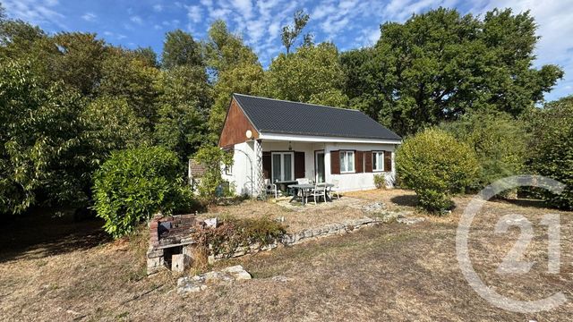 maison - PUISEAUX - 45