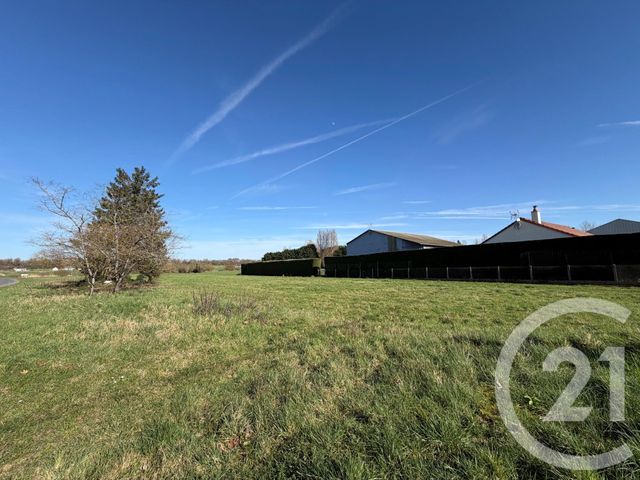 Terrain &agrave; vendre - 1134 m2 - Germigny Des Pres - 45 - CENTRE