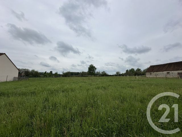 terrain - BOUZY LA FORET - 45