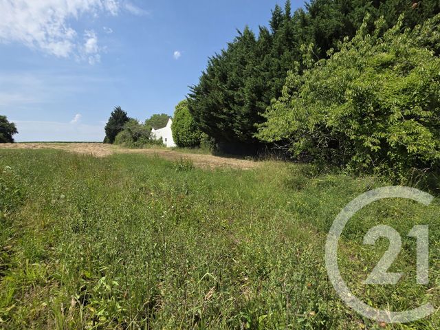 terrain - GUERARD - 77