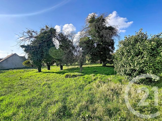Terrain &agrave; vendre - 1504 m2 - La Grande Paroisse - 77 - ILE-DE-FRANCE