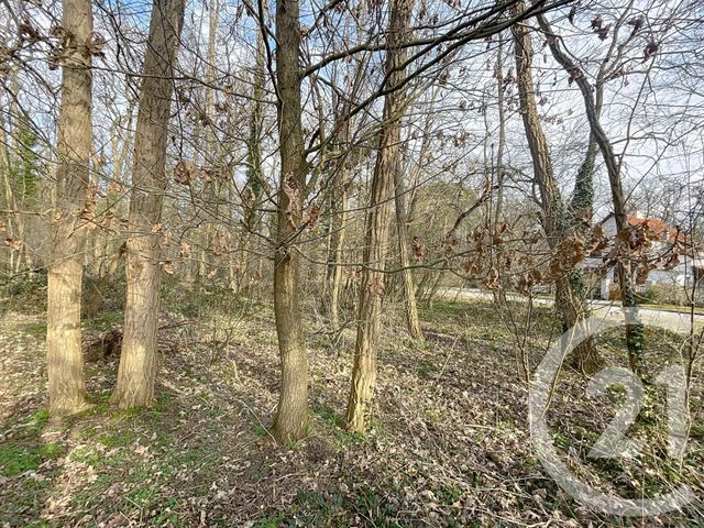 Terrain &agrave; vendre - 1249 m2 - Lacroix St Ouen - 60 - PICARDIE