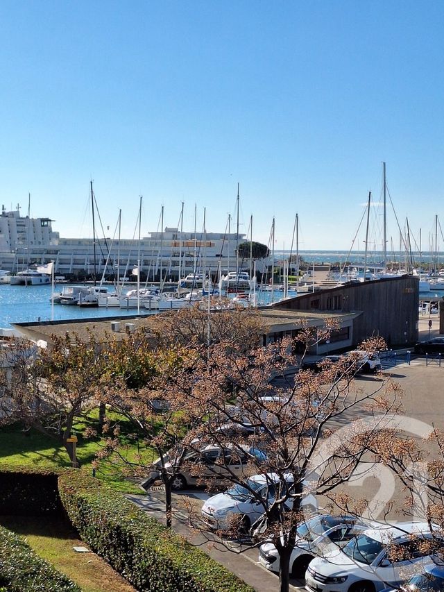 Appartement Studio Cabine &agrave; vendre - 1 pi&egrave;ce - 20,85 m2 - Le Grau Du Roi - 30 - LANGUEDOC-ROUSSILLON