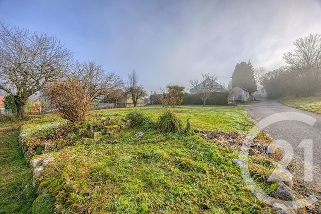 terrain - CHAINAZ LES FRASSES - 74