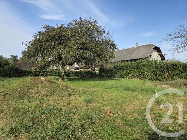 Terrain &agrave; vendre - 729 m2 - Bloye - 74 - RHONE-ALPES