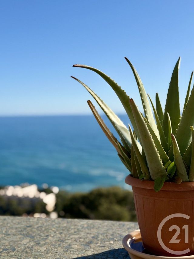 Appartement T2 &agrave; vendre - 2 pi&egrave;ces - 35,01 m2 - Cap D Ail - 06 - PROVENCE-ALPES-COTE-D-AZUR