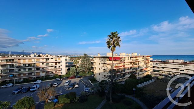 Appartement T2 &agrave; louer - 2 pi&egrave;ces - 56,23 m2 - Antibes - 06 - PROVENCE-ALPES-COTE-D-AZUR