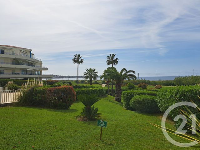 Appartement T2 &agrave; louer - 2 pi&egrave;ces - 36 m2 - Juan Les Pins - 06 - PROVENCE-ALPES-COTE-D-AZUR