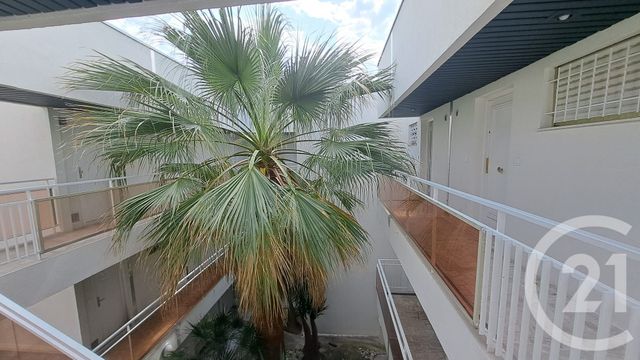 Appartement Studio Cabine &agrave; louer - 1 pi&egrave;ce - 28 m2 - Villeneuve Loubet - 06 - PROVENCE-ALPES-COTE-D-AZUR