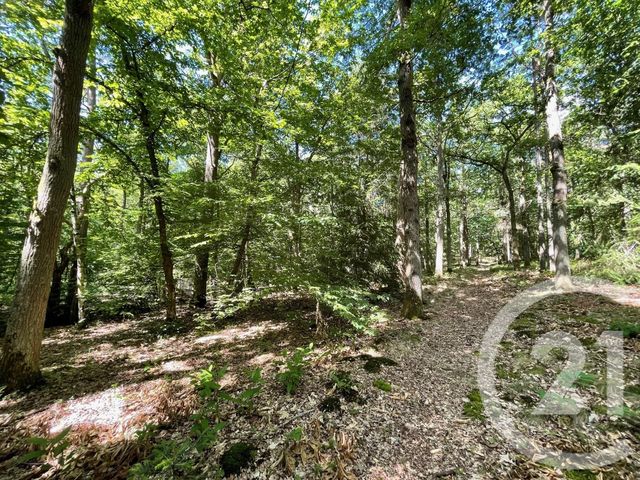 Maison a louer rambouillet - 4 pièce(s) - 311.5 m2 - Surfyn