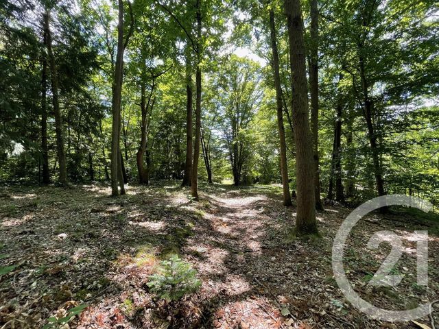 Maison a louer rambouillet - 4 pièce(s) - 311.5 m2 - Surfyn