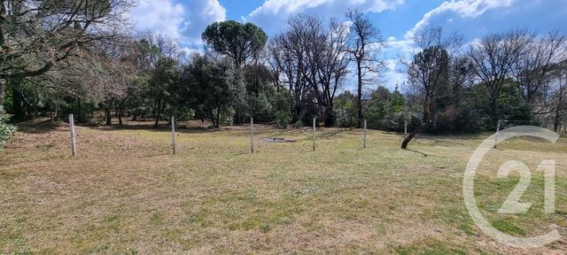 Terrain &agrave; vendre - 3100 m2 - St Maximin La Ste Baume - 83 - PROVENCE-ALPES-COTE-D-AZUR