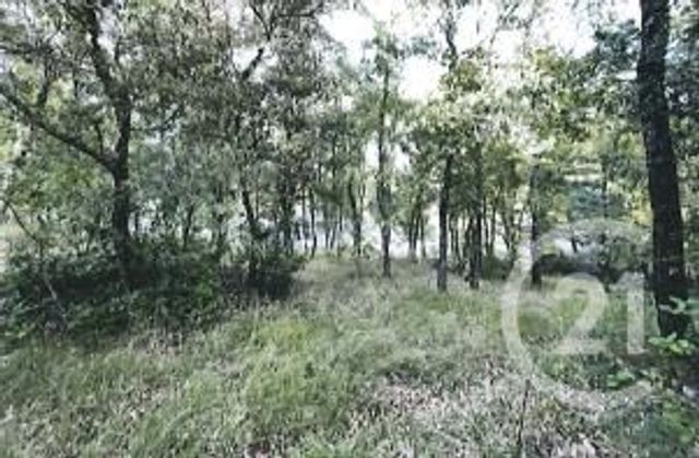 Terrain &agrave; vendre - 1128 m2 - St Maximin La Ste Baume - 83 - PROVENCE-ALPES-COTE-D-AZUR