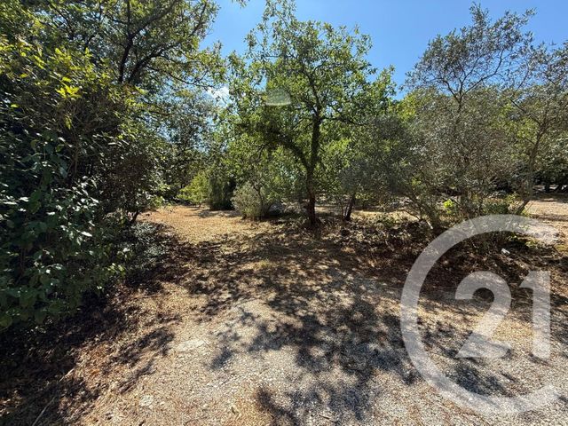 Terrain &agrave; vendre - 2600 m2 - St Maximin La Ste Baume - 83 - PROVENCE-ALPES-COTE-D-AZUR