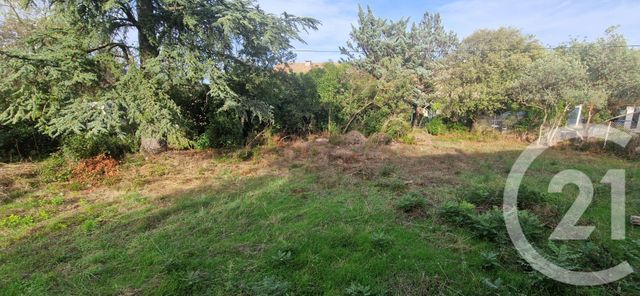 terrain - ST MAXIMIN LA STE BAUME - 83