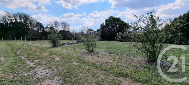 Terrain &agrave; vendre - 3100 m2 - St Maximin La Ste Baume - 83 - PROVENCE-ALPES-COTE-D-AZUR