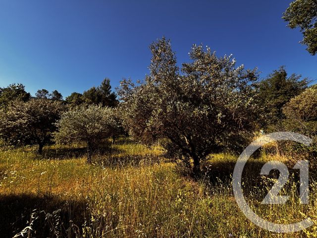 Maison &agrave; vendre - 4 pi&egrave;ces - 125 m2 - Tourves - 83 - PROVENCE-ALPES-COTE-D-AZUR